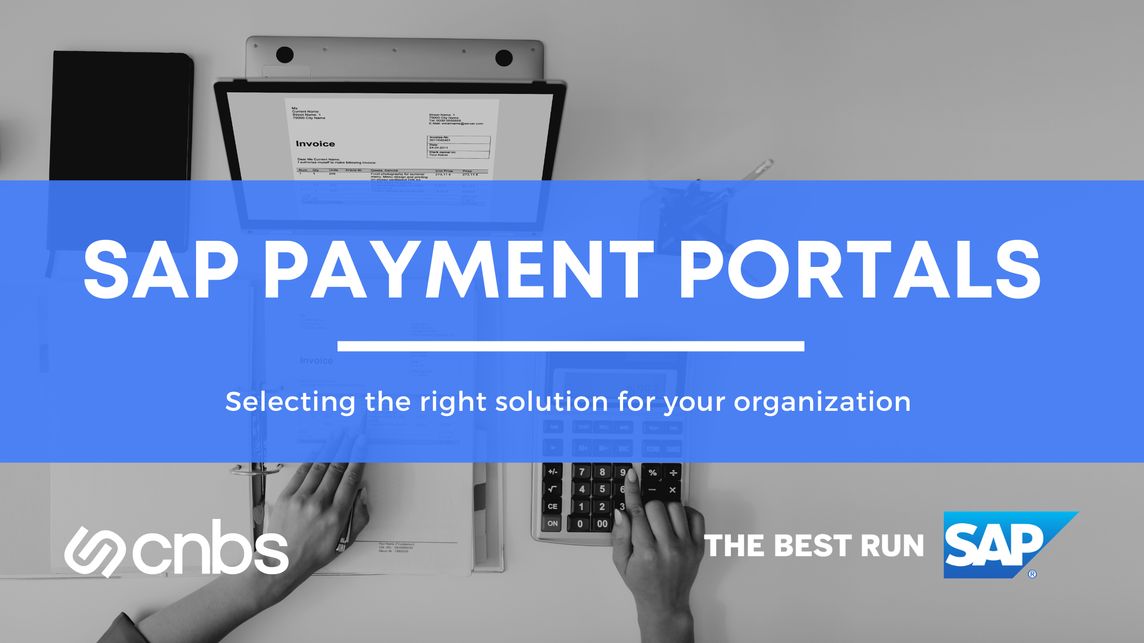 selecting-an-sap-payment-portal